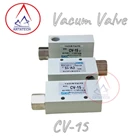 Vacum Industrial Valve CV-15 SKC 1