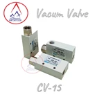 Vacum Industrial Valve CV-15 SKC 3