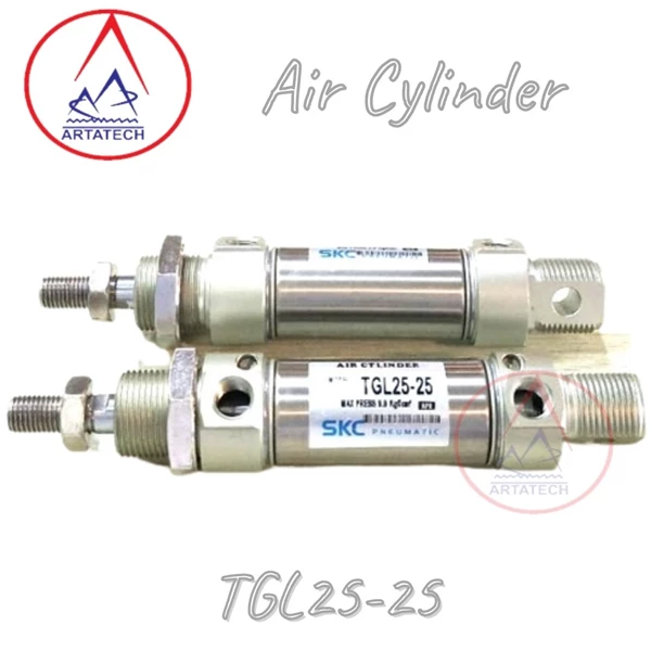 Air Silinder Pneumatik STD ISO TGL25-25