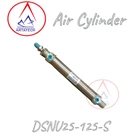 Air Silinder Pneumatik DSNU25-125-S SKC 1