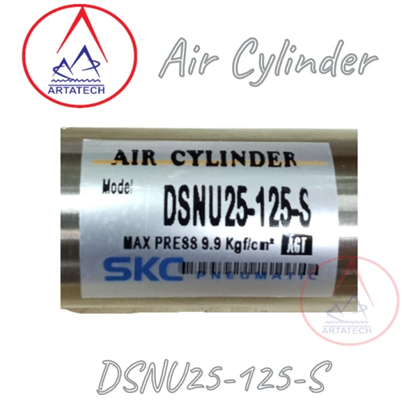 Air Silinder Pneumatik DSNU25-125-S SKC