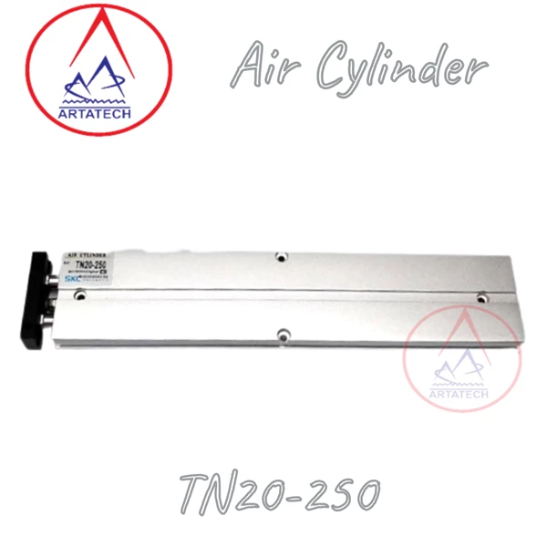 Air Silinder Pneumatik TN 20-250 SKC
