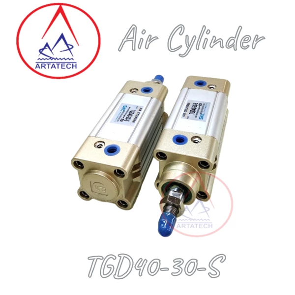 Air Silinder Pneumatik TGD40-30-S SKC