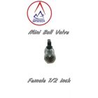 Mini Ball Valve 1/2 inch Female 1