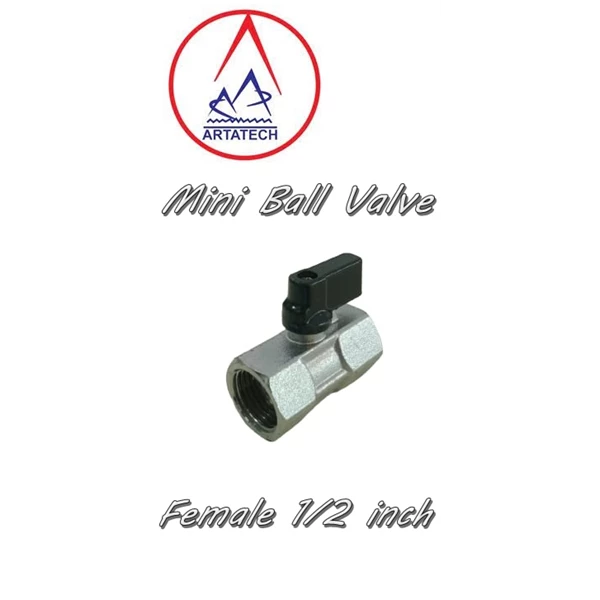 Mini Ball Valve 1/2 inch Female