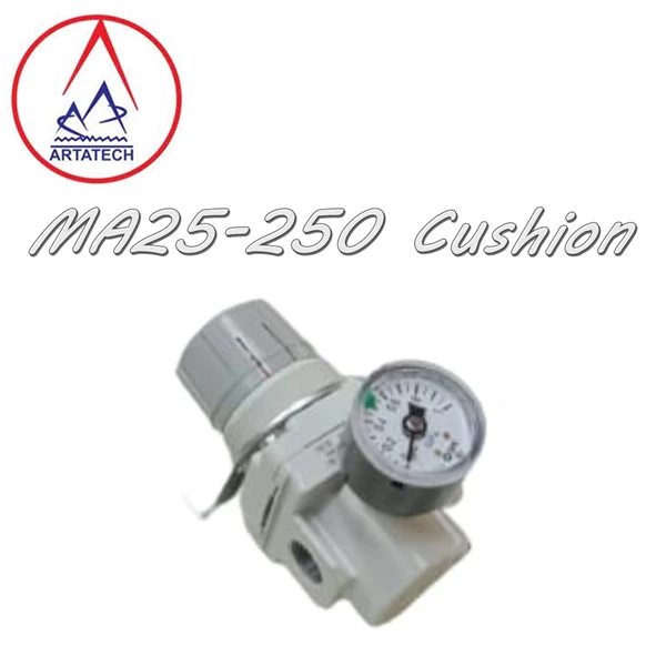 SMC Air Regulator AR30- 03BG- A
