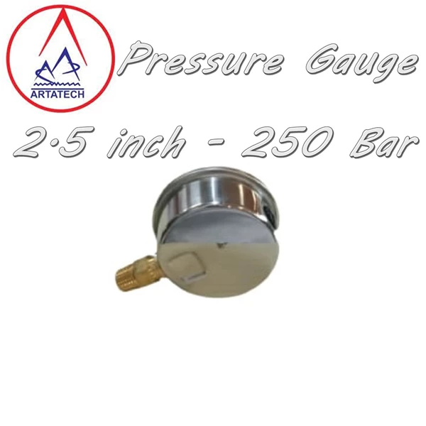 Pressure Gauge 2.5 inch - 250 Bar