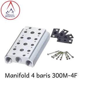 Manifold 4 baris 300M- 4F