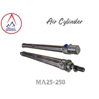Air Cylinder Stainless Tube SKC MA25-250
