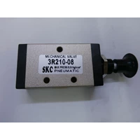 Mechanical Valve - 3R210-08 - SKC