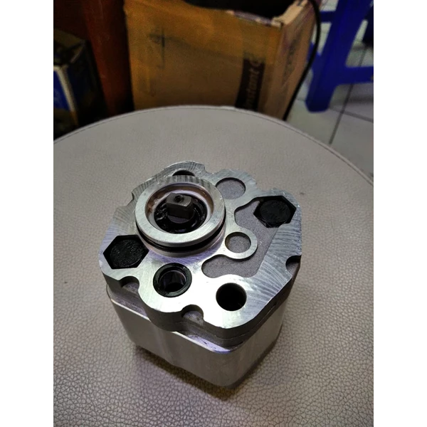 Mini Gear pump CBK-F116BL