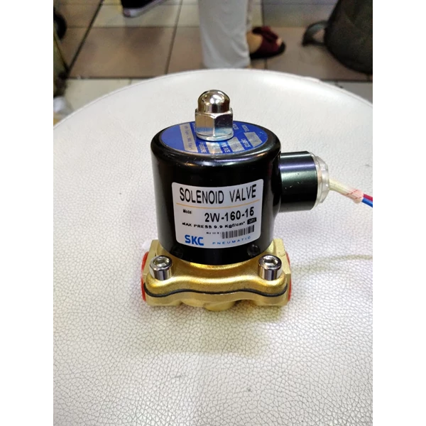 Solenoid valve 2W-160-15