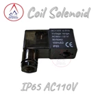  Hydraulic Valve Coil IP65 AC110v 1