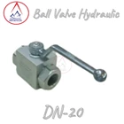 Ball Valve Hydrolic DN-20 3