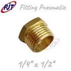 Fitting Pneumatic  Brass Vlug Ring 1/4" x 1/2" 2
