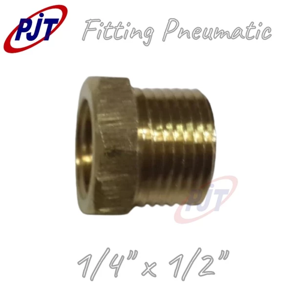Fitting Pneumatic  Brass Vlug Ring 1/4" x 1/2"