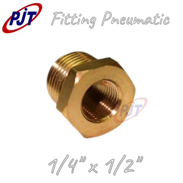 Fitting Pneumatic  Brass Vlug Ring 1/4" x 1/2"