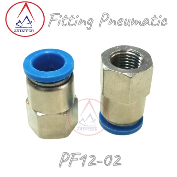 Straight Model Pneumatic Fittings PF12 - 02