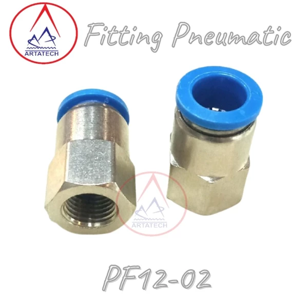 Straight Model Pneumatic Fittings PF12 - 02