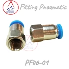 Fitting Pneumatic PF 06 - 01 2