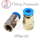 Fitting Pneumatic PF 06 - 01 1