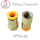 Fitting Pneumatic Lurus PF 10-02 2