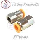 Fitting Pneumatic Lurus PF 10-02 3