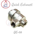 Quick Exhaust QE-06 Industrial Valve 2