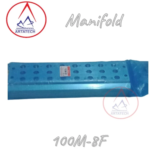 Fitting Manifold 100M - 8F